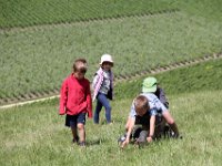 IMG 3205