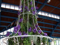 IMG 3287 1 (1)