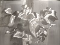IMG 7295