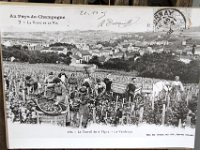 IMG 1600